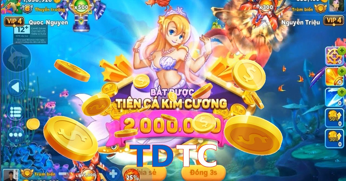 TDTC