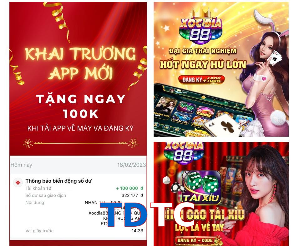 TDTC